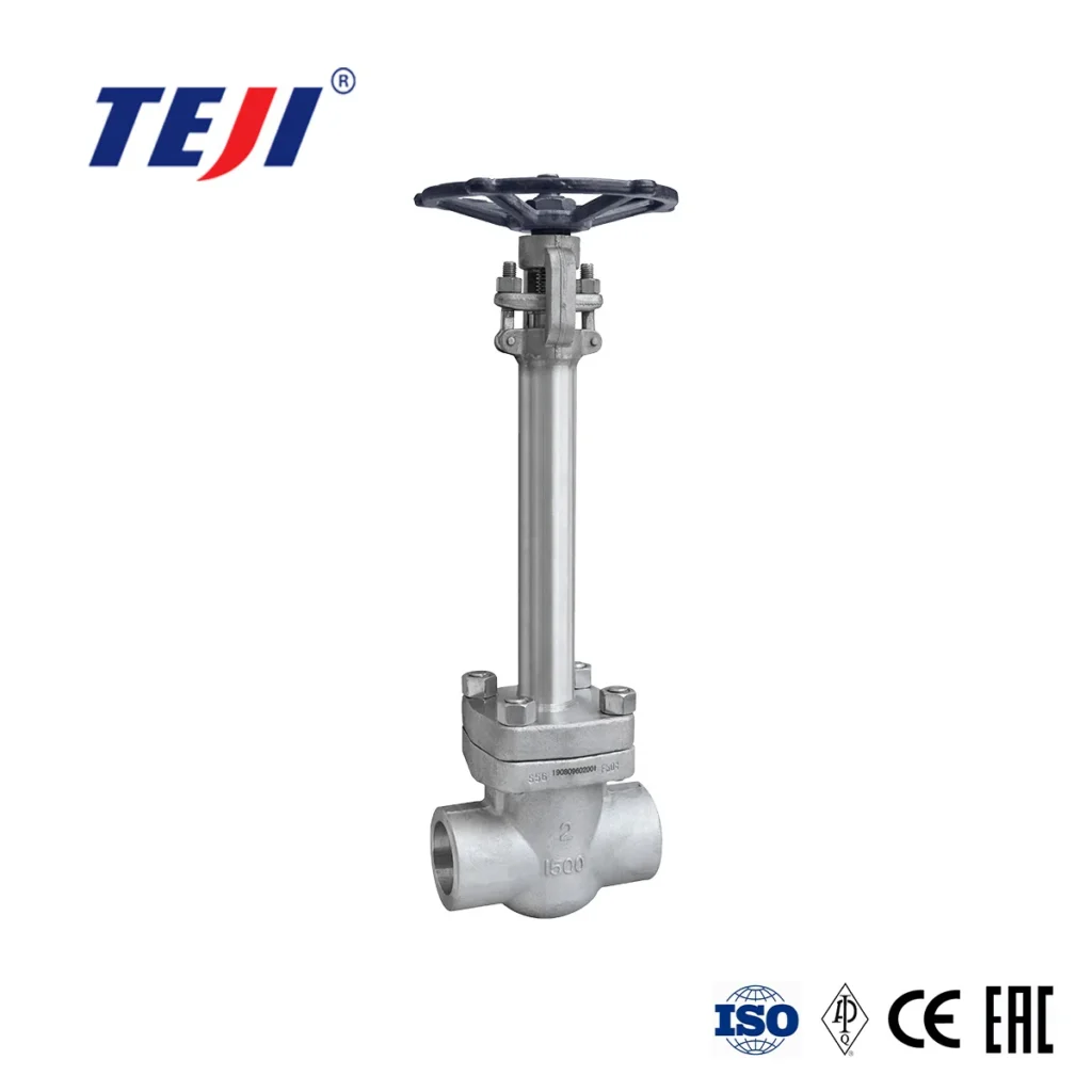 forged-cryogenic-gate-valve
